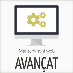 Manteniment web avançat