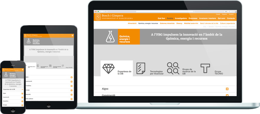 Fundació Bosch i Gimpera programació plantilla web a mida i maquetació contingut exemple 4