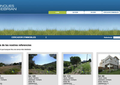 Programació a mida web i eina gestió immobles: Finques Cebrian
