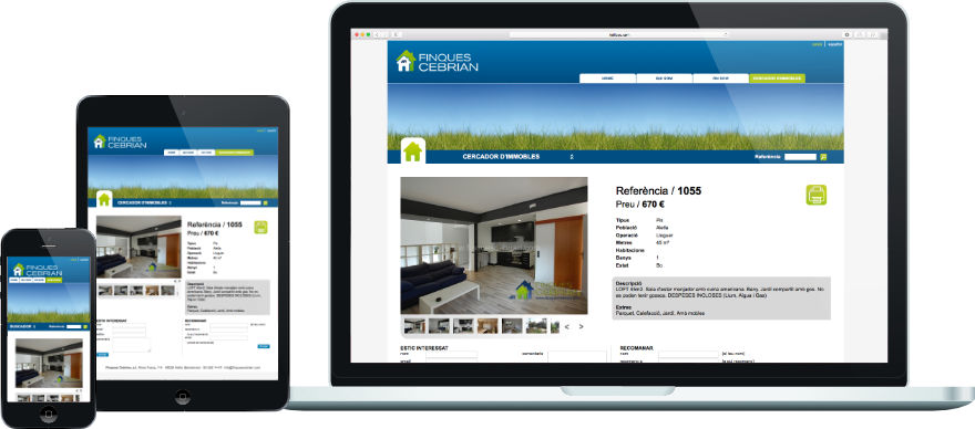 Finques Cebrian programació web eina gestió immobles a mida exemple 2