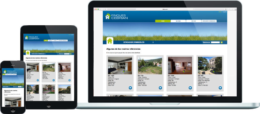 Finques Cebrian programació web eina gestió immobles a mida exemple 1