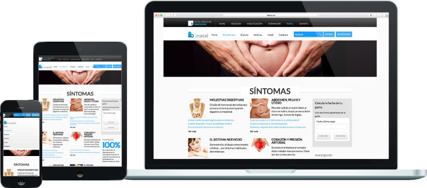 inatal programació web plantilla a mida i configuració portal exemple 2