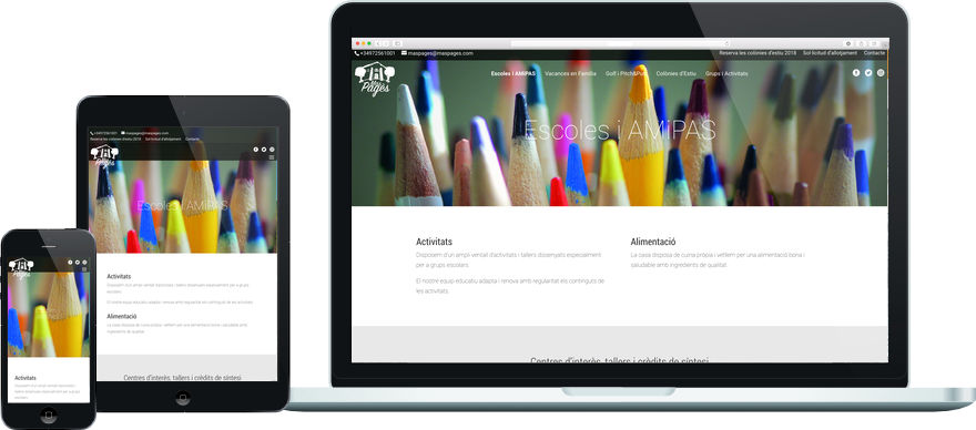 Mas Pagès personalització plantilla web i maquetació contingut exemple 2