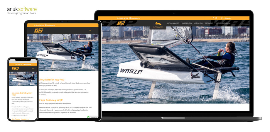 Waszp programació web plantilla a mida maquetació web exemple 1