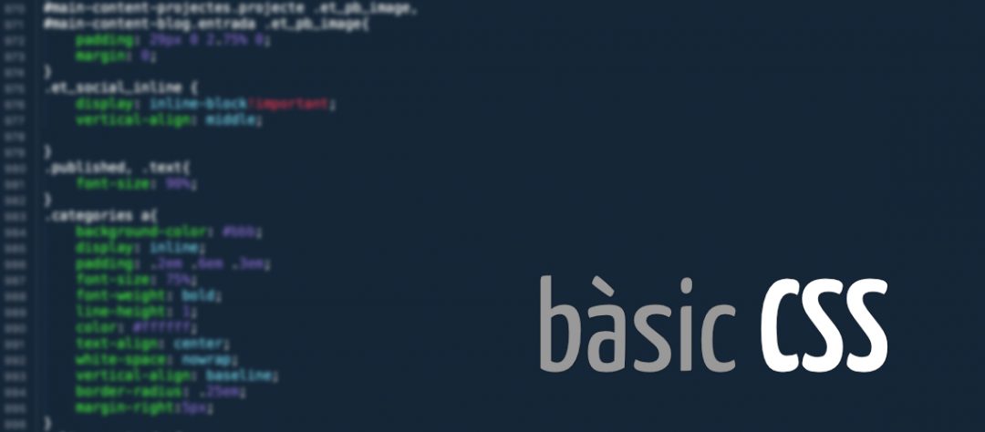 bàsic CSS